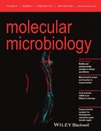 Cover of Molecular Microbiology, featuring study using the protocol.