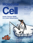 Cover of Molecular Cell, featuring study using the protocol.
