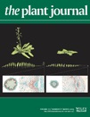 Cover of The Plant Journal, featuring study using the protocol.