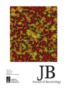 Cover of Journal of Bacteriology, featuring study using the protocol.
