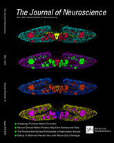 Cover of The Journal of Neuroscience, featuring study using the protocol.