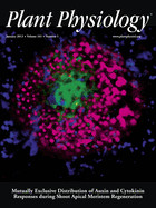 Cover of Plant Physiology, featuring study using the protocol.