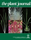 Cover of The Plant Journal, featuring study using the protocol.