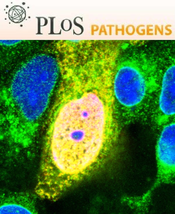 Cover of PLOS Pathogens, featuring study using the protocol.