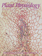 Cover of Plant Physiology, featuring study using the protocol.