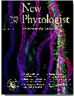 Cover of New Phytologist, featuring study using the protocol.