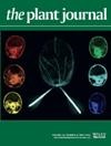 Cover of The Plant Journal, featuring study using the protocol.