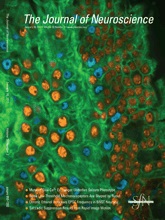 Cover of The Journal of Neuroscience, featuring study using the protocol.