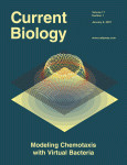 Cover of Current Biology, featuring study using the protocol.