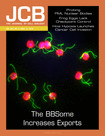 Cover of The Journal of Cell Biology, featuring study using the protocol.