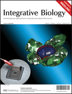 Cover of Integrative Biology, featuring study using the protocol.