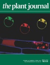 Cover of The Plant Journal, featuring study using the protocol.