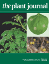 Cover of The Plant Journal, featuring study using the protocol.