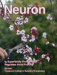 Cover of Neuron, featuring study using the protocol.