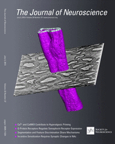 Cover of The Journal of Neuroscience, featuring study using the protocol.