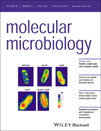 Cover of Molecular Microbiology, featuring study using the protocol.