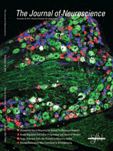 Cover of The Journal of Neuroscience, featuring study using the protocol.