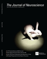 Cover of The Journal of Neuroscience, featuring study using the protocol.