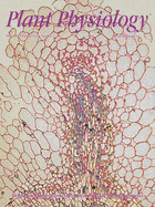 Cover of Plant Physiology, featuring study using the protocol.
