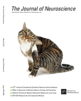 Cover of The Journal of Neuroscience, featuring study using the protocol.