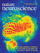 Cover of Nature Neuroscience, featuring study using the protocol.