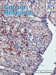Cover of Cancer Research, featuring study using the protocol.