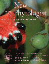 Cover of New Phytologist, featuring study using the protocol.