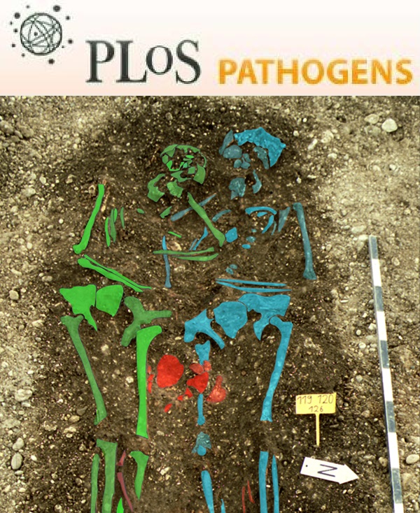 Cover of PLOS Pathogens, featuring study using the protocol.