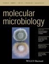 Cover of Molecular Microbiology, featuring study using the protocol.