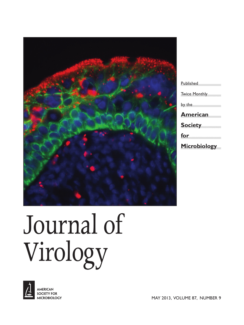 Cover of Journal of Virology, featuring study using the protocol.