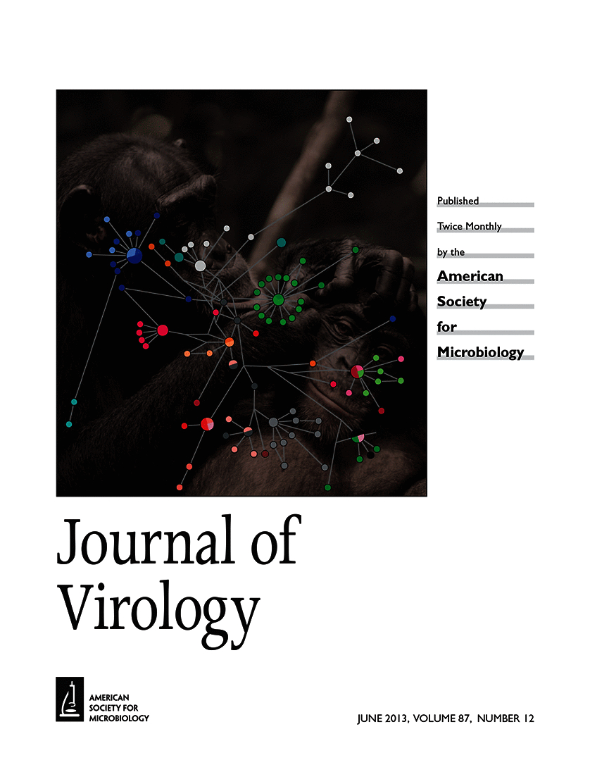 Cover of Journal of Virology, featuring study using the protocol.