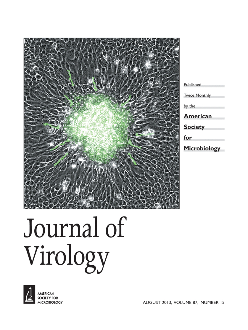 Cover of Journal of Virology, featuring study using the protocol.