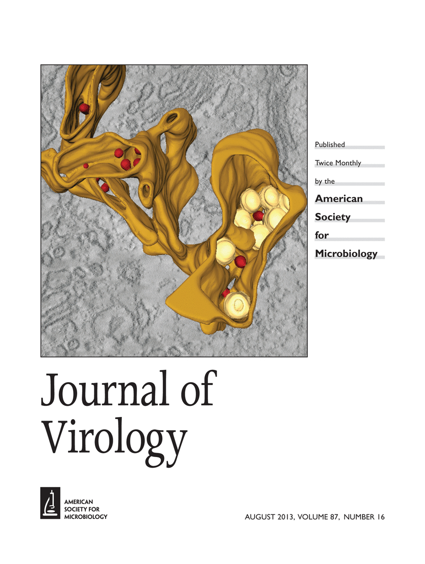 Cover of Journal of Virology, featuring study using the protocol.