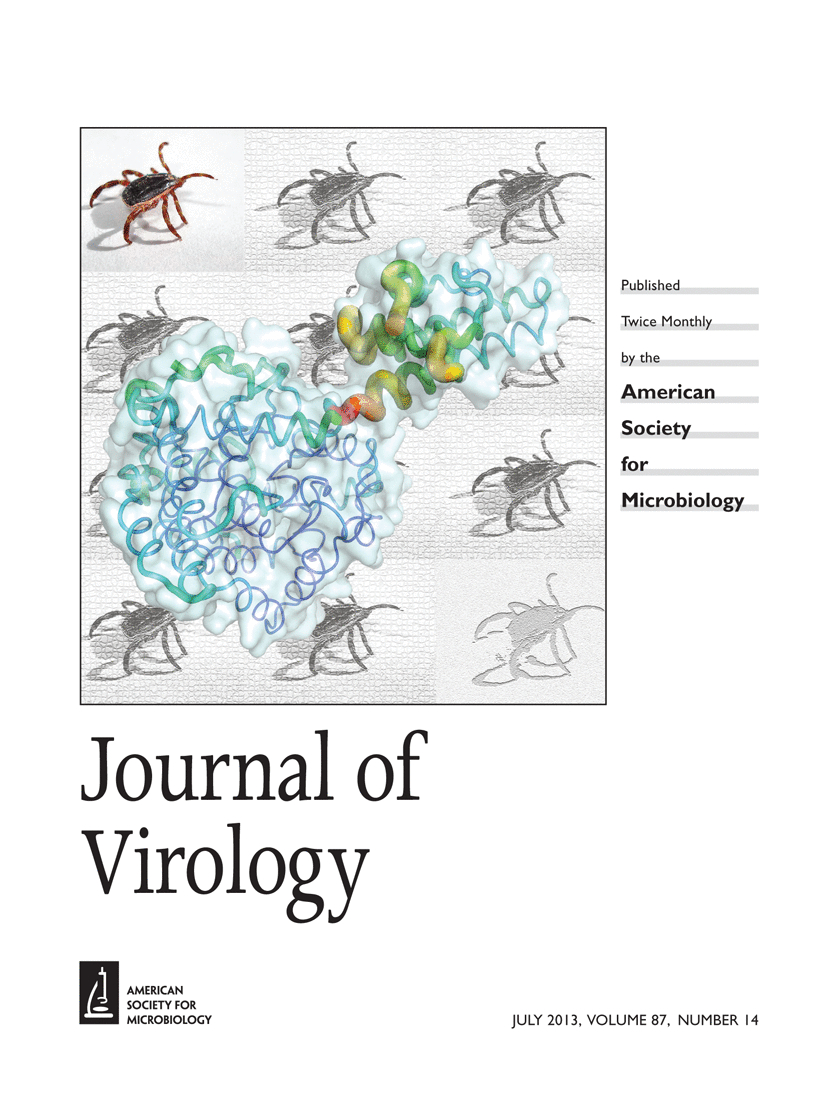 Cover of Journal of Virology, featuring study using the protocol.