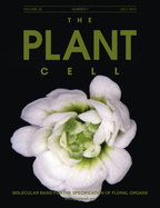 Cover of The Plant Cell, featuring study using the protocol.