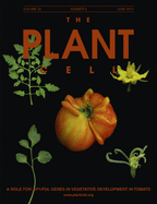 Cover of The Plant Cell, featuring study using the protocol.