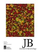Cover of Journal of Bacteriology, featuring study using the protocol.