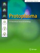 Cover of Protoplasma, featuring study using the protocol.