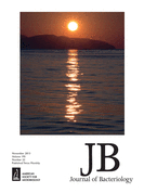 Cover of Journal of Bacteriology, featuring study using the protocol.