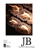 Cover of Journal of Bacteriology, featuring study using the protocol.