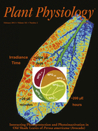 Cover of Plant Physiology, featuring study using the protocol.