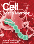 Cover of Cell Host & Microbe, featuring study using the protocol.