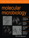 Cover of Molecular Microbiology, featuring study using the protocol.
