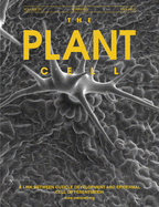 Cover of The Plant Cell, featuring study using the protocol.