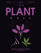Cover of The Plant Cell, featuring study using the protocol.
