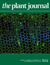 Cover of The Plant Journal, featuring study using the protocol.
