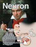 Cover of Neuron, featuring study using the protocol.