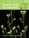 Cover of Plant, Cell & Environment, featuring study using the protocol.