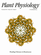 Cover of Plant Physiology, featuring study using the protocol.