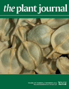 Cover of The Plant Journal, featuring study using the protocol.